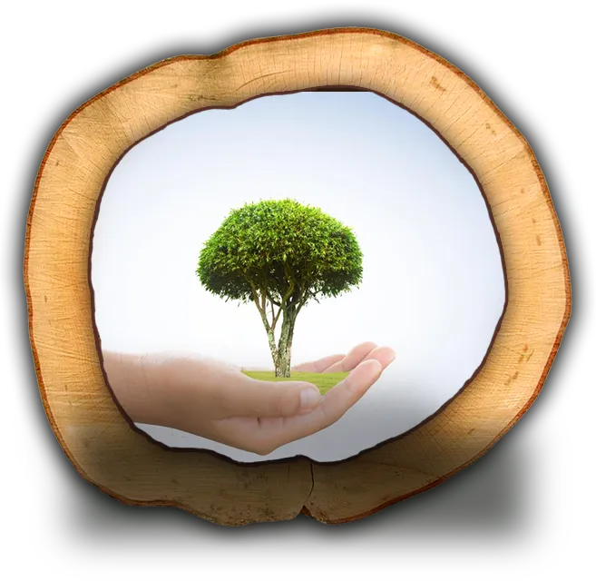 A hand holding a tree.